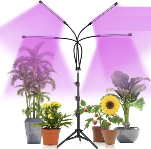 Red and blue LEDs to support photosynthesis