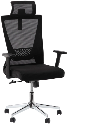 Ergonoomiline kontoritool Liono peatoe ja võrkselja toega