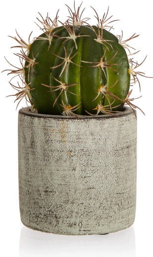 Tehis kaktus betoonpotis 16 cm