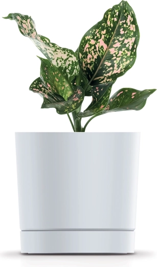 Durable plastic material
