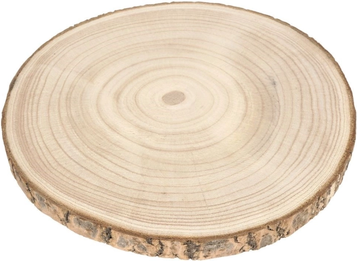 Paulownia wood slice 20–28 cm with bark
