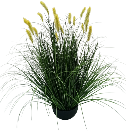 Kollane kunstdekoratiivhein Pennisetum potis, 70 cm