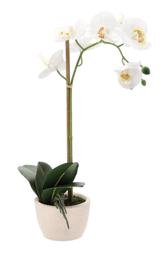 Stable and elegant pot