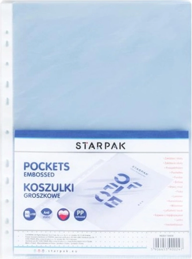 Eurodokumentikiled A4, karestatud plast, 100 tk