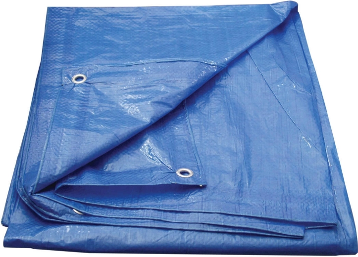 Kattekile aasadega 6 × 10 m Economy, sinine