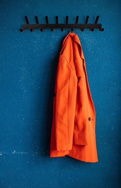 Seinale kinnitatav metallist nagi 17 konksuga – must