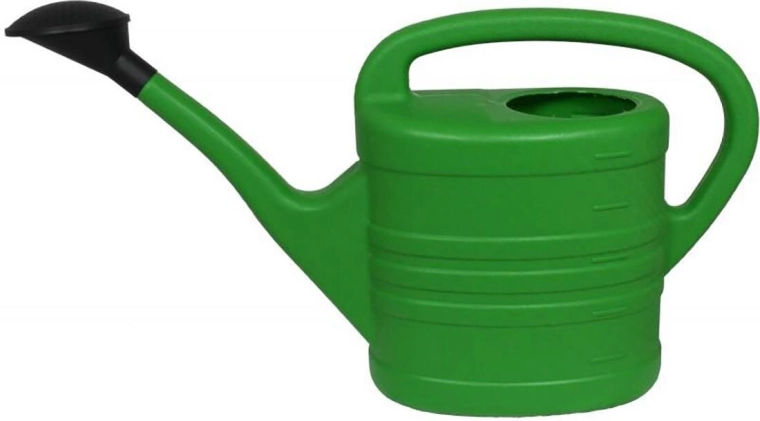 Watering can 5 L with rose, green