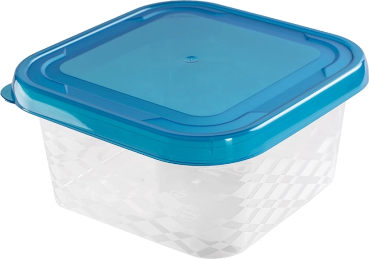 Ruutujuline toidukarp Blue Box 1,25 l (sinine)