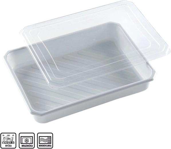 Ristkülikukujuline UH plastikust anum 4 l