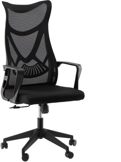 Ergonoomiline kontoritool MASKINO hingava võrkkangaga