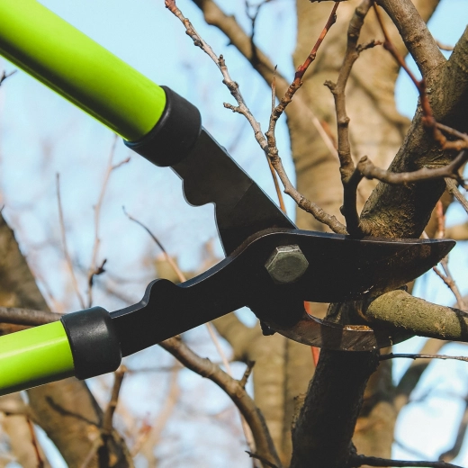 Garden branch shears with steel blade