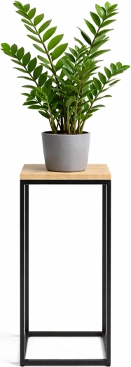 Lillealuse statiiv RENEW FORCE fos-tall 63 cm, 24 × 24 cm