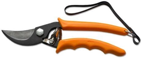 Garden Bypass Shears 21 cm