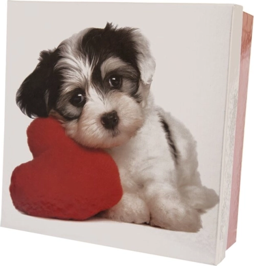 Kinkekarbike paberist DOG valge-punane 16 × 16 × 6 cm