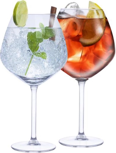 Gin & tooniku klaasid ALPINA 730 ml, komplekt 4 tk