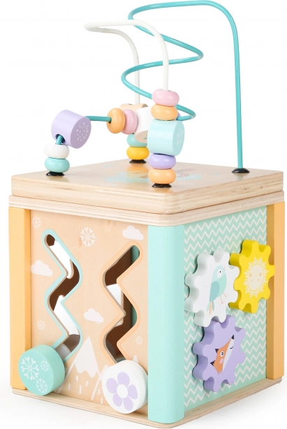 Ecotoysi puidust hariv kuubik