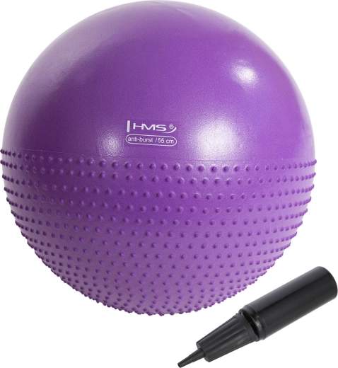 Massaažiga võimlemispall HMS YB03N 55 cm lilla