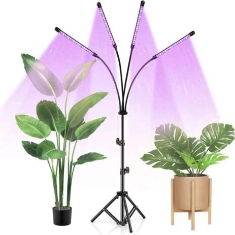 Kolm valgustusrežiimi iga kasvutsükli jaoks