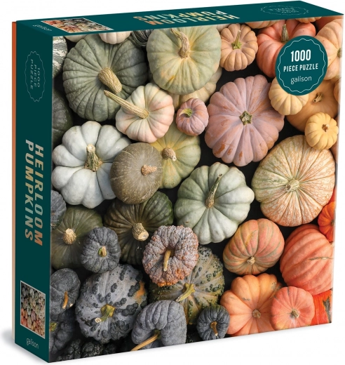 Esmaklassiline motiiv „Heirloom Pumpkins“