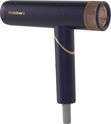 Ionisatsioonihooldus siledatele ja läikivatele juustele