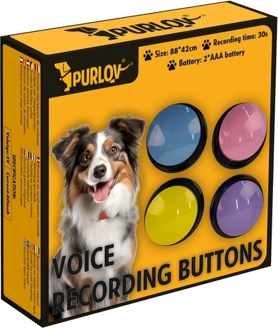 Värviline ja pilkupüüdev disain