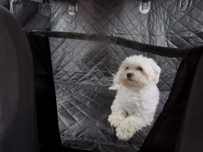 Võrgust vahesein kontakti ja õhuvoolu jaoks