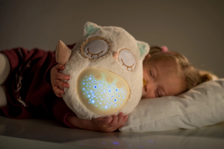 Ülipehme kaaslane võrekõikus