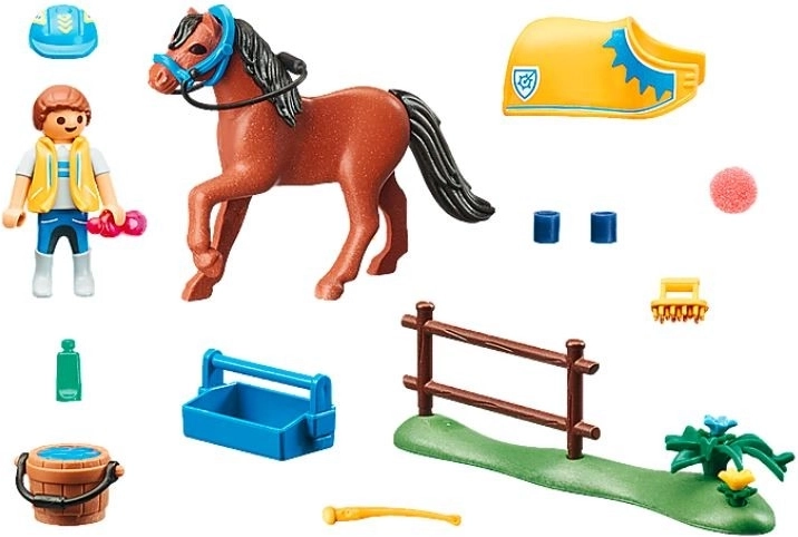 Kõik poni hoolduseks