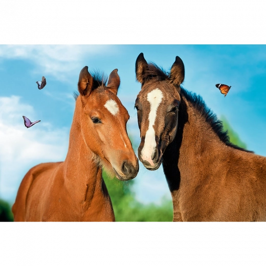 Täielik pilt loomapoegadest