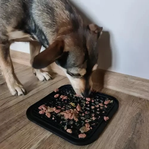 Igemete massaaž ja aeglasem toitmine