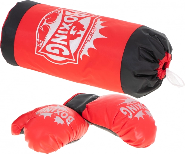 Lihtne riputada ja treenida kodus