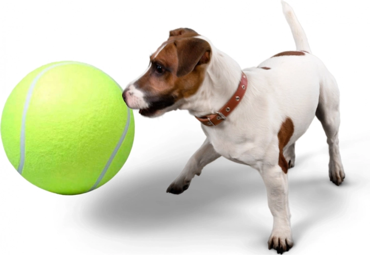 Ideaalne toomismänguks ja ühiseks suhtluseks