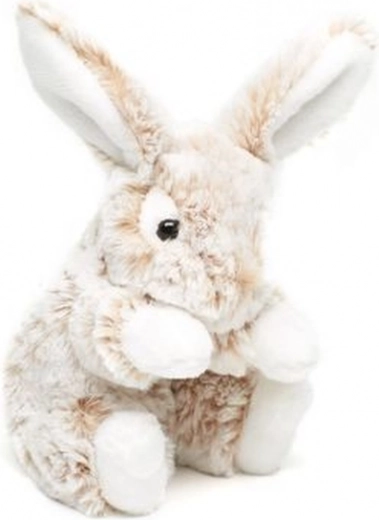 Ideaalne suurus 20 cm