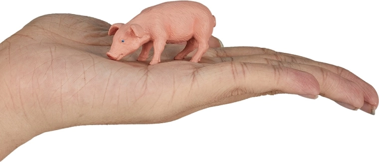 Kompaktne suurus