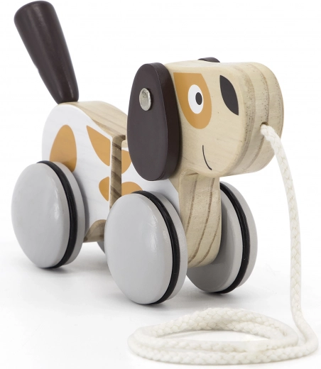 Vaikne ja sujuv liikumine