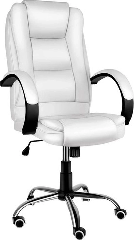 Ergonoomiline seljatugi