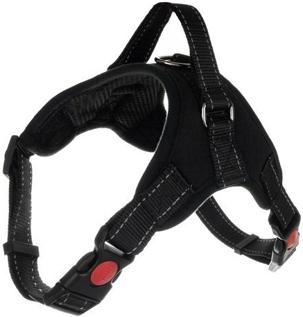 Helkurelemendid ja tugev D-rõngas