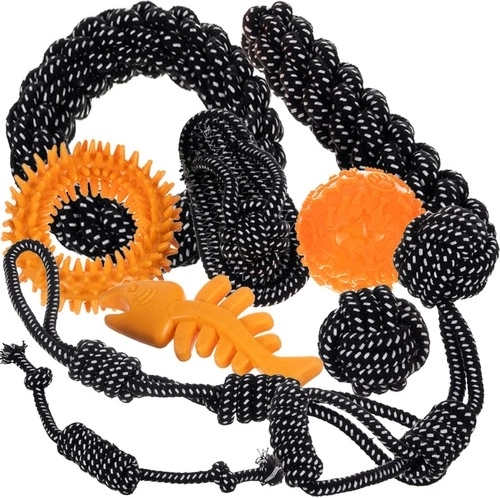 Vastupidavad materjalid ja hammaste hooldus