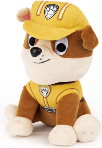 Truu sarnasus PAW PATROLi kangelasega