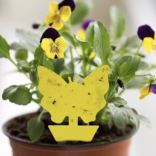 Universaalne kasutus