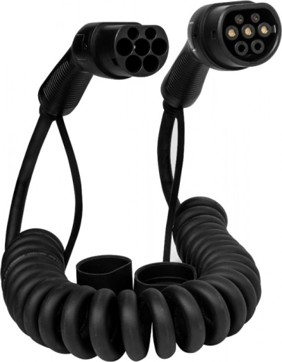 Type 2 pistik