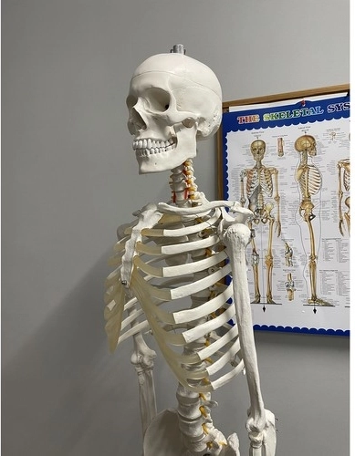 Õppevahend koos plakatiga