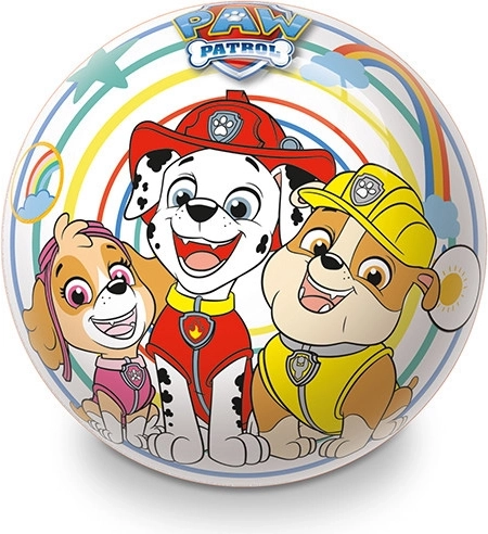 Populaarne Paw Patroli kujundus