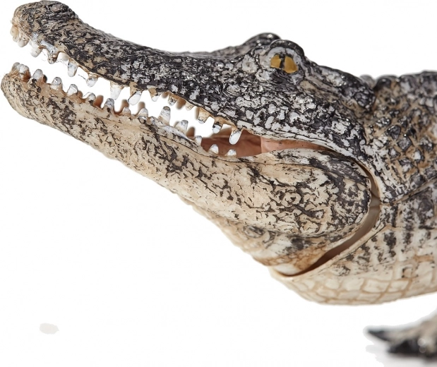 Koostöö ekspertidega