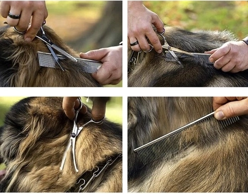 Suur komplekt tarvikutega vutlaris