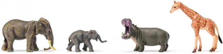 Laiendatav safari väikeste ja suurte liikidega