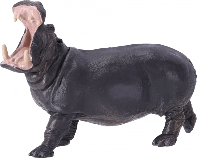 Õppimiseks ja kollektsioneerimiseks