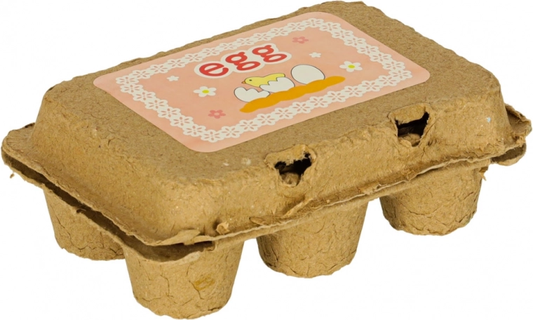 Realistlik kartongist munarest 6 munale