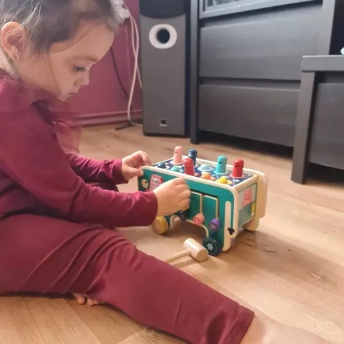 Mitmekülgne mängukogemus