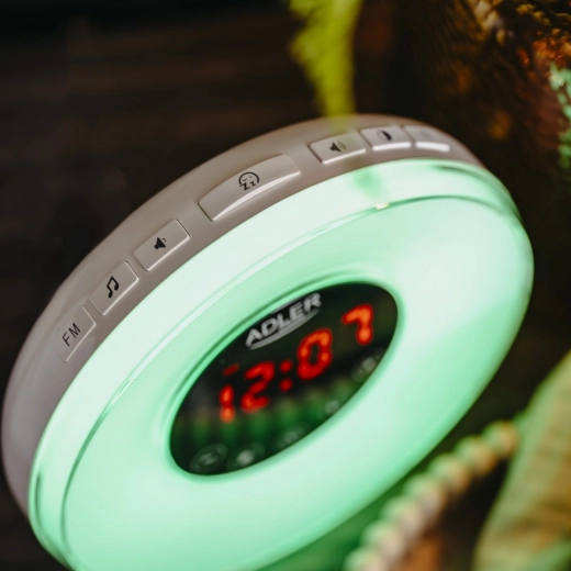 Loodushelid ja FM-raadio